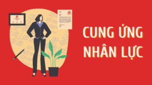 Cung Ứng Nhân Lực Vũng Tàu, Cung Ứng Nhân Lực Phú Mỹ