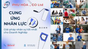 Cung Ứng Nhân Lực Tại Vũng Tàu, Cung Ứng Nhân Lực Chất Lượng Cao